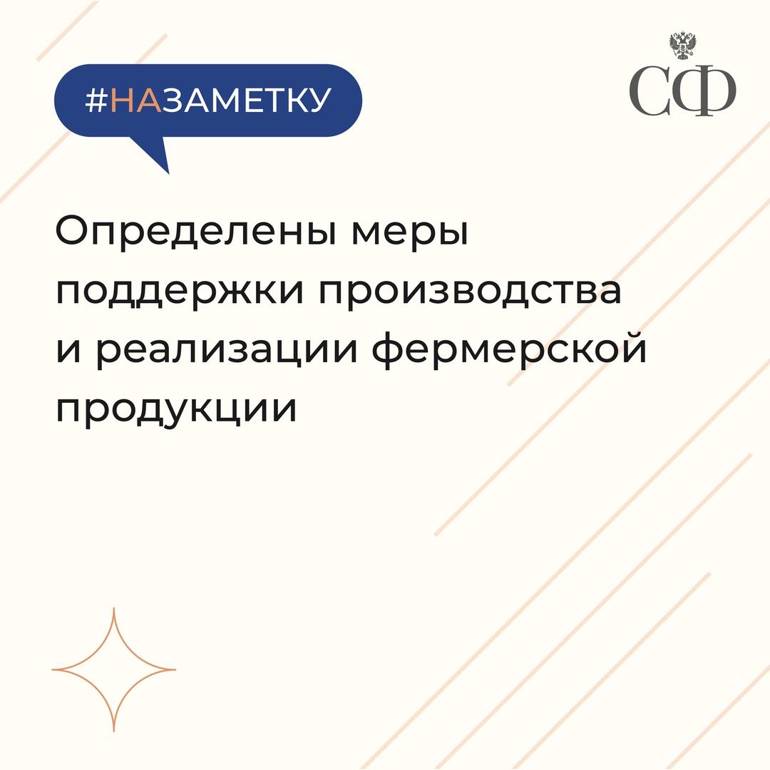 Ключевые законы в сфере поддержки бизнеса, одобренные Советом Федерации в 2024 году