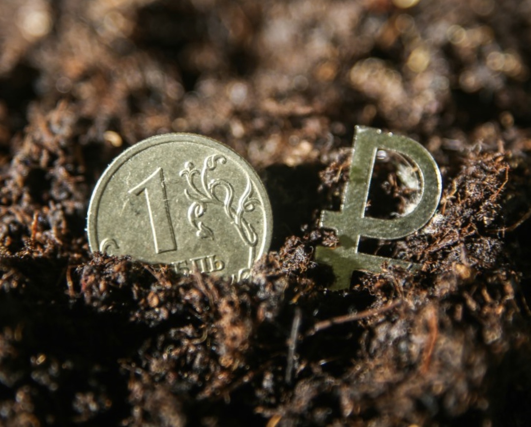 В декабре по сравнению с ноябрем 2024 года потребительские цены выросли на 1,32%, по сравнению с декабрем 2023-го – на 9,52%, сообщил Росстат