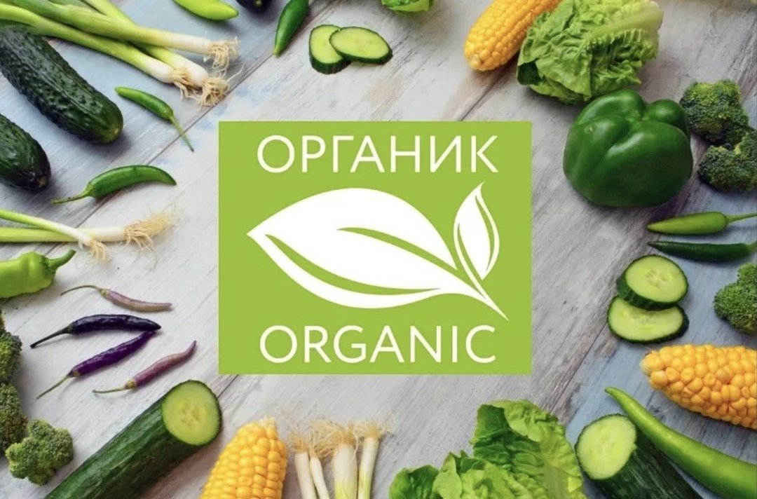 Роскачество представило обновленный рейтинг регионов по количеству сертифицированных производителей органической продукции. Лидерство сохраняет Воронежская…