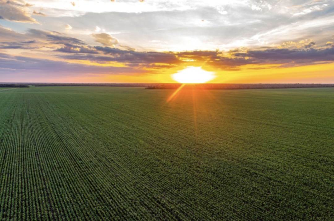 Группа агропредприятий «Ресурс» (по данным BEFL на май 2024 года, входила в топ-20 владельцев сельскохозземель с 340 тыс. га.) в конце декабря приобрела по 30%…