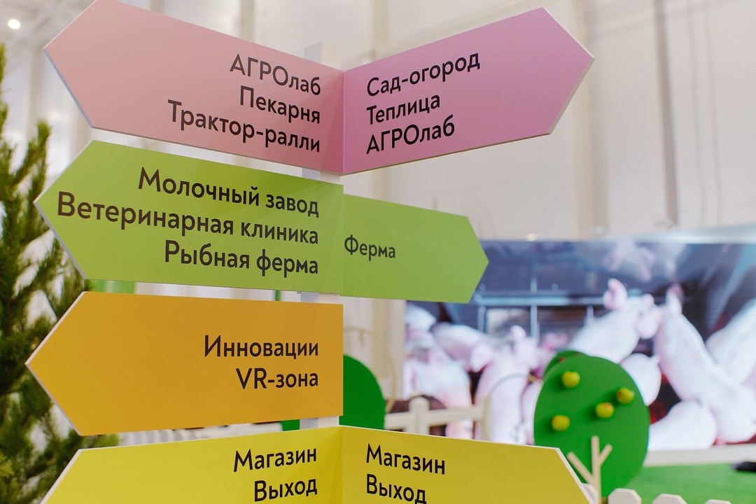 Чем заняться на выходных? У нас есть идея