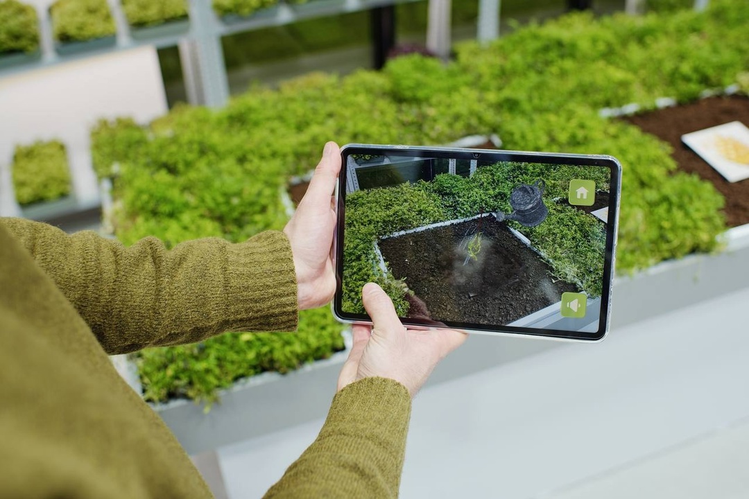 Чем заняться на выходных? У нас есть идея