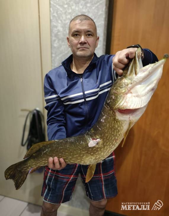 Как выглядит день человека, который каждый день преодолевает 20 тысяч шагов на работе?