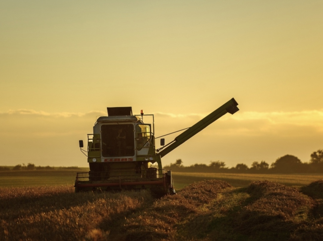Самое интересное за неделю с 13 по 19 января