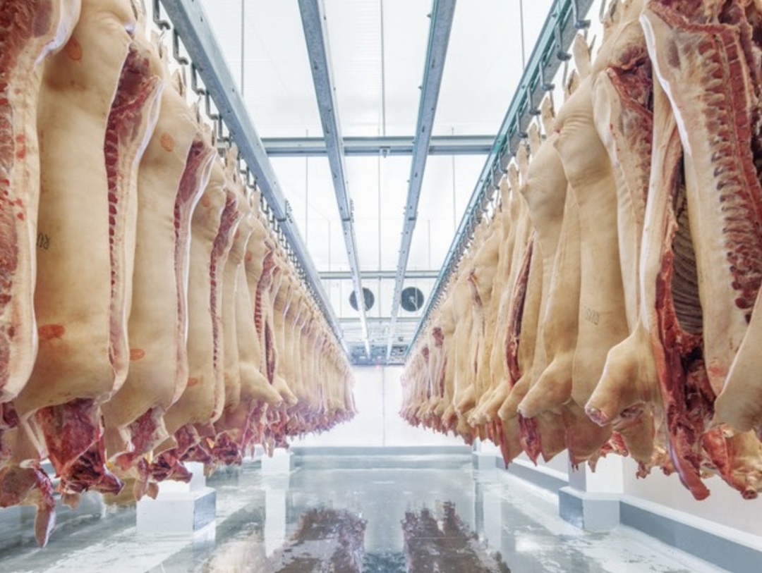 По предварительным оценкам, в 2024 году экспорт мяса и субпродуктов из России в стоимостном выражении увеличился на 24%, до рекордных $1,7 млрд