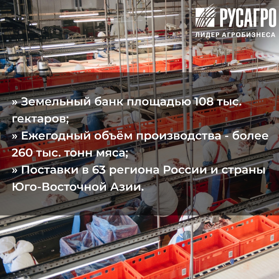 «Агро-Белогорье» : знакомим с мясоперерабатывающим заводом