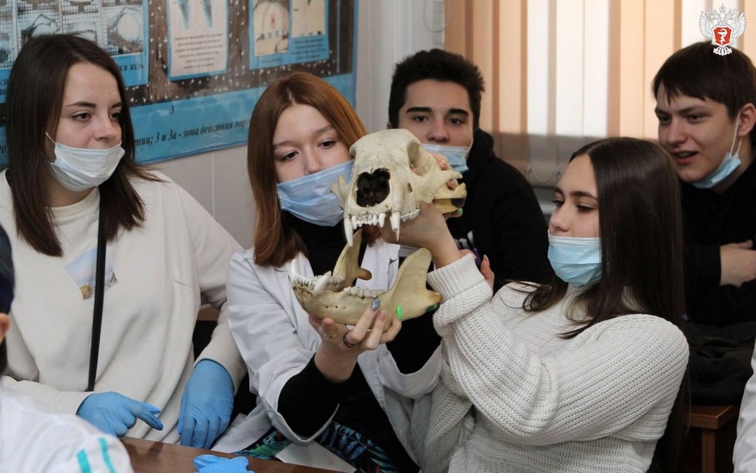 Как в Красноярском ГМУ Минздрава России готовят школьников к поступлению в мед