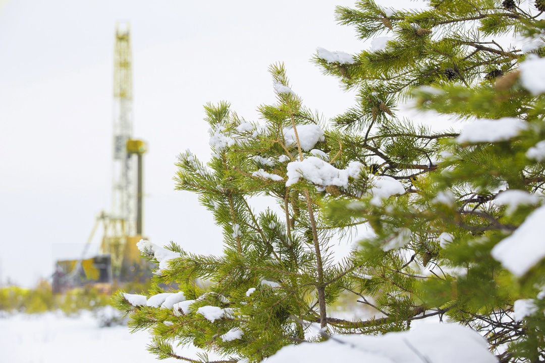 «Самотлорнефтегаз» завершил масштабную рекультивацию земель, нарушенных на заре освоения Самотлорского месторождения