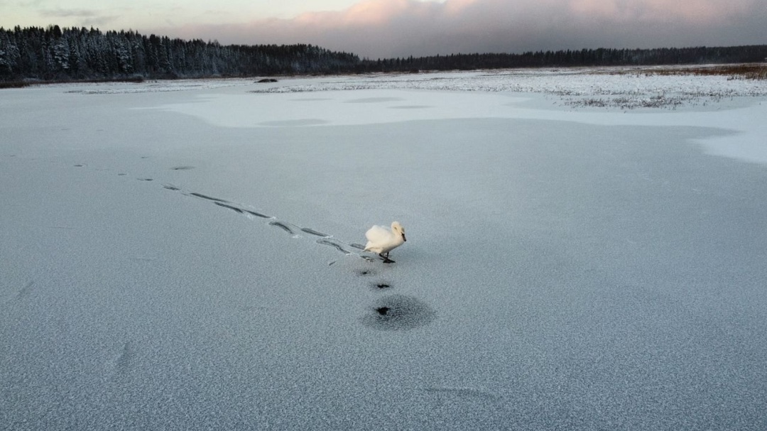 Западно-Уральское управление Ростехнадзора рассмотрело декларацию безопасности гидротехнических сооружений пруда на реке Сеполь в селе Кочево в Пермском крае.