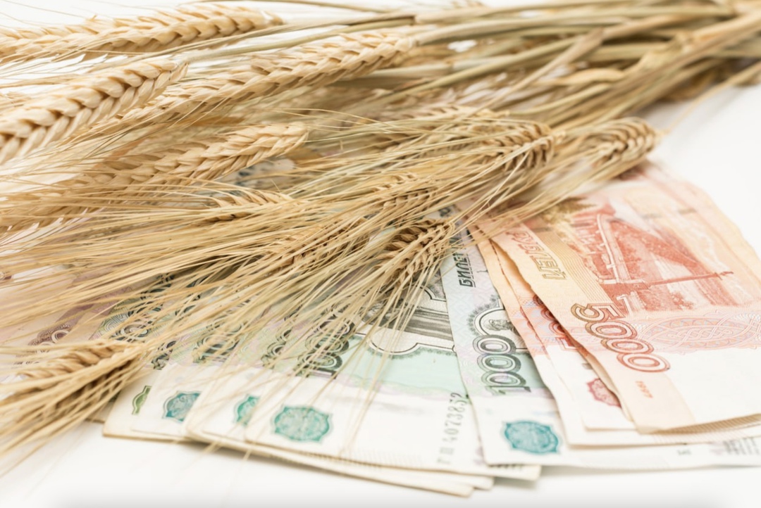 Правительство дополнительно выделит на субсидирование льготных кредитов в агросекторе более 42 млрд руб