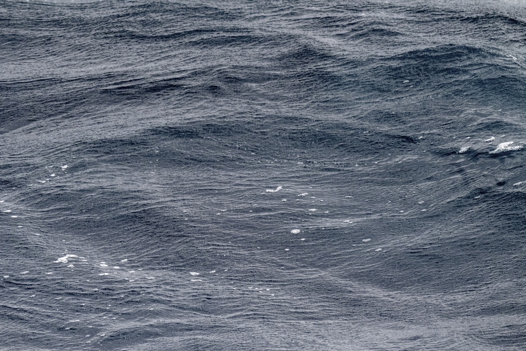 Юра Борисов готовится к «Оскару», а блогер Константин Парфеньев – впервые увидеть своими глазами Антарктиду! Оба в предвкушении