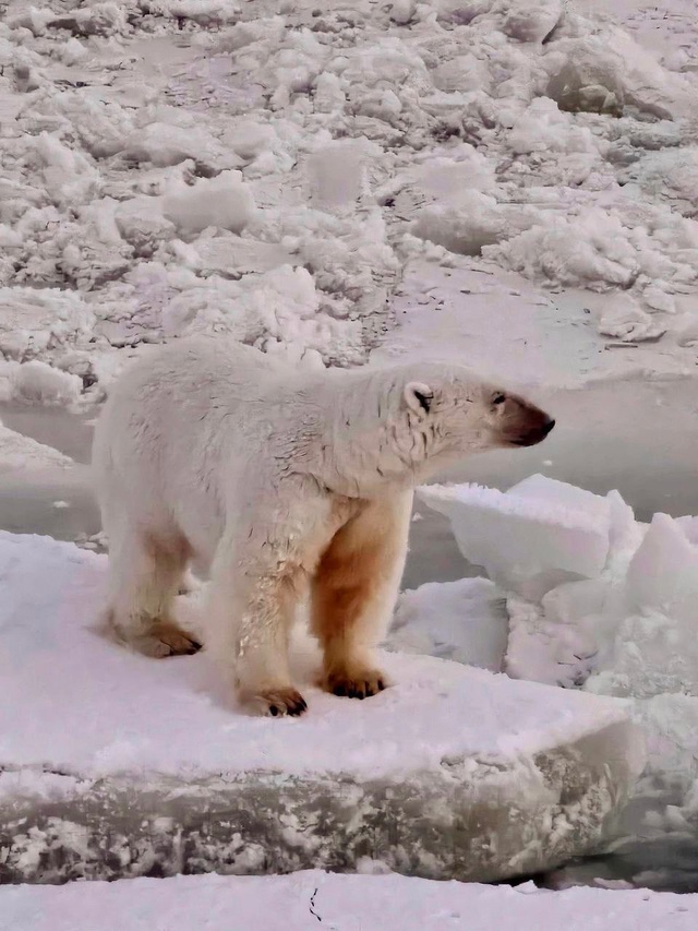 До выходных осталось совсем немного