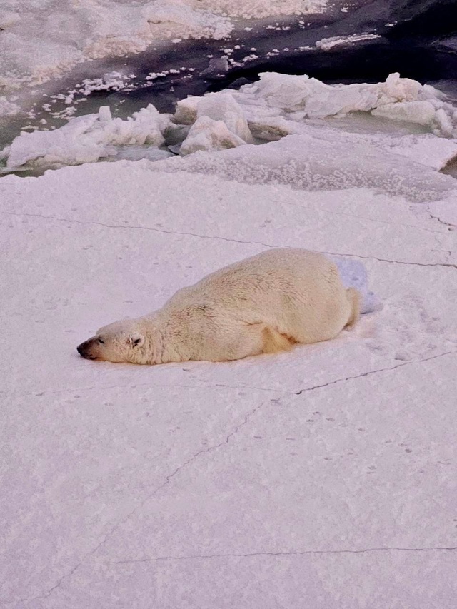 До выходных осталось совсем немного