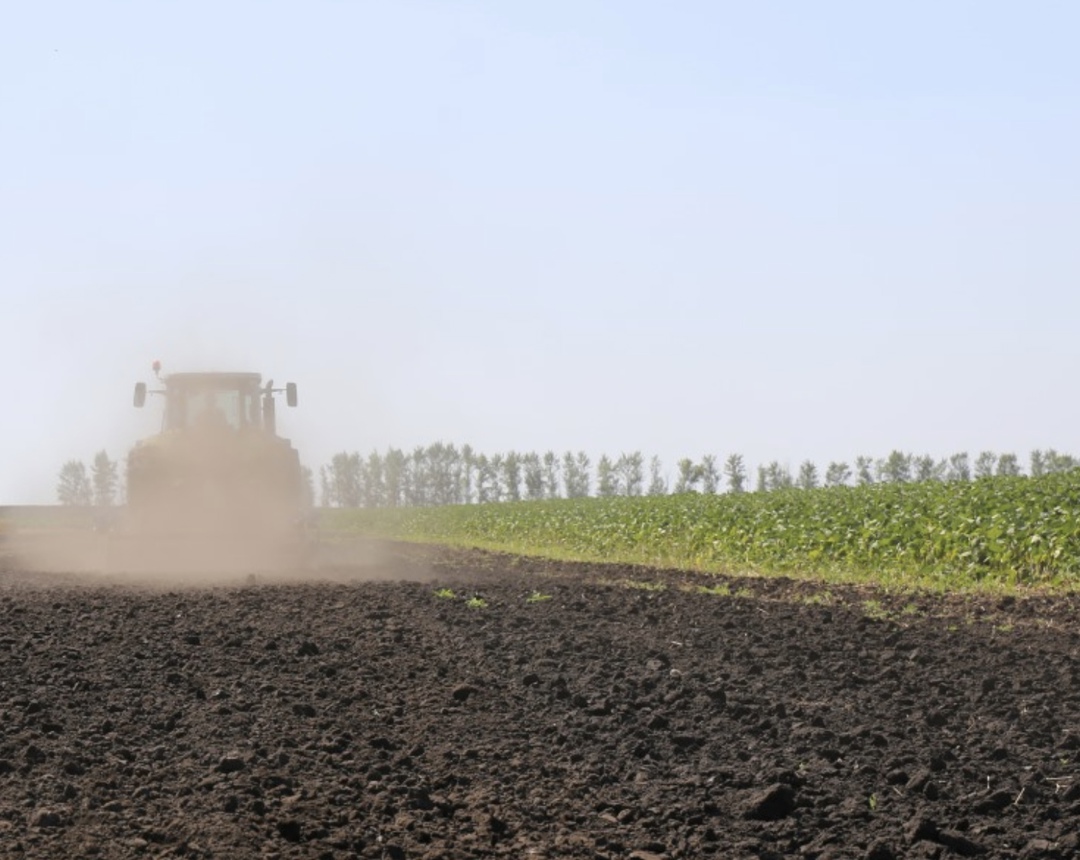 Самое интересное за неделю с 20 по 26 января