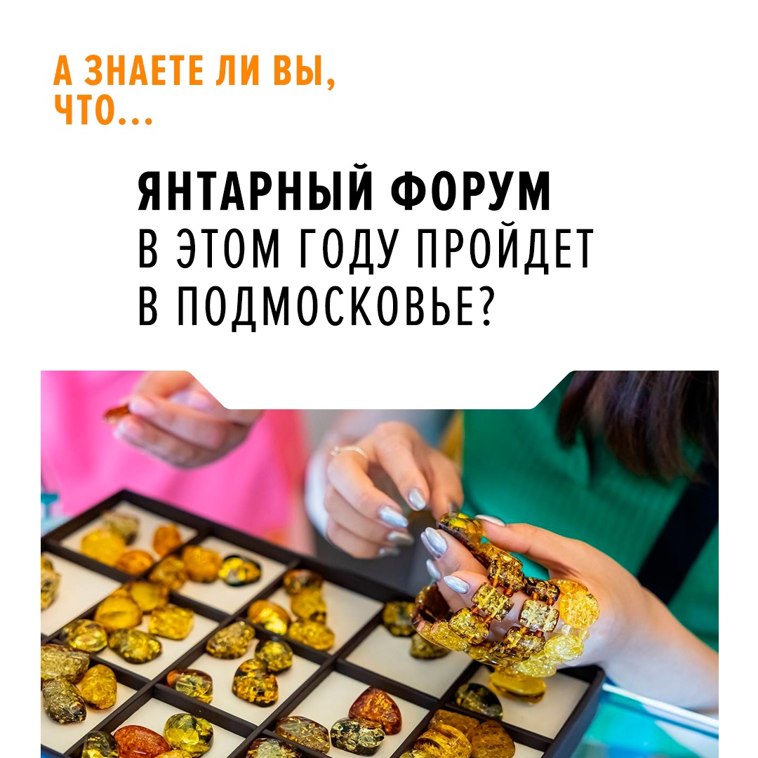 А точнее, в парке «Патриот». Ростех впервые проведет Международный экономический форум AmberForum на территории «большой» России