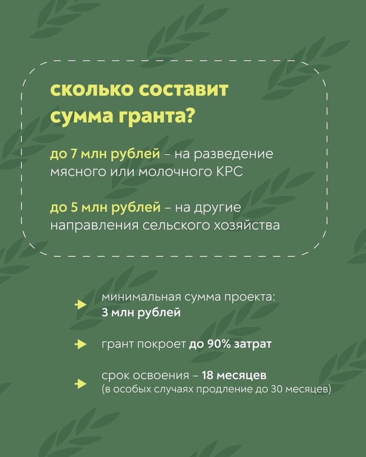 Грант «Агромотиватор» С этого года участники и ветераны специальной военной операции могут получить до 7 млн рублей на запуск или развитие своего дела в…