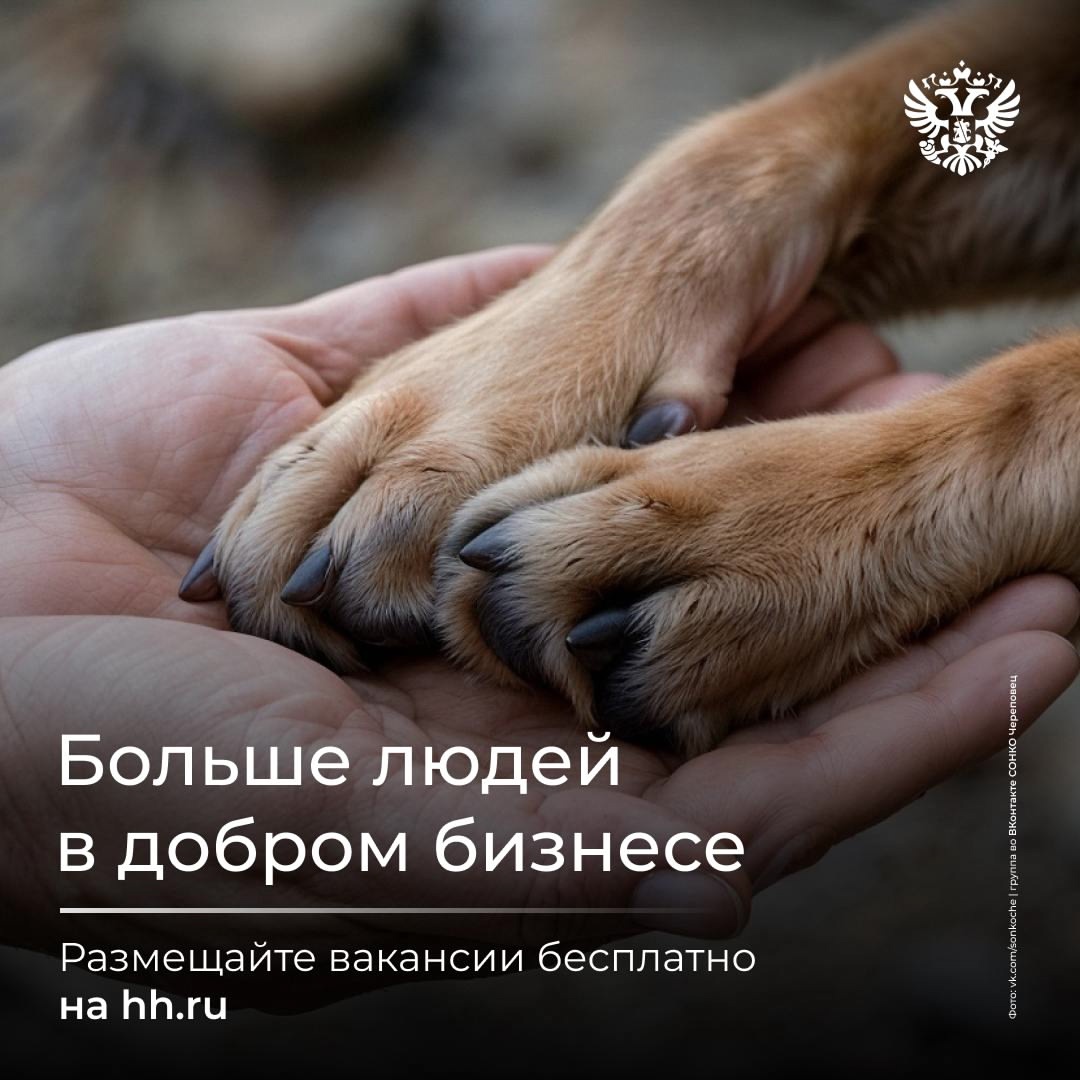 Каждое доброе дело начинается с человека: студия для детей с особенностями здоровья, центр досуга для пожилых, приюты. А ещё таким компаниям нужны сотрудники