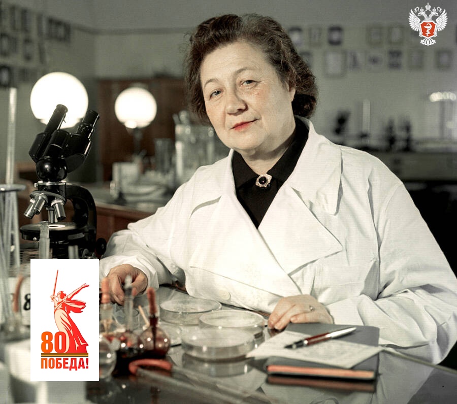 «Мадам Пенициллин»: история микробиолога Зинаиды Ермольевой, которая разработала советский антибиотик — аналог пенициллина