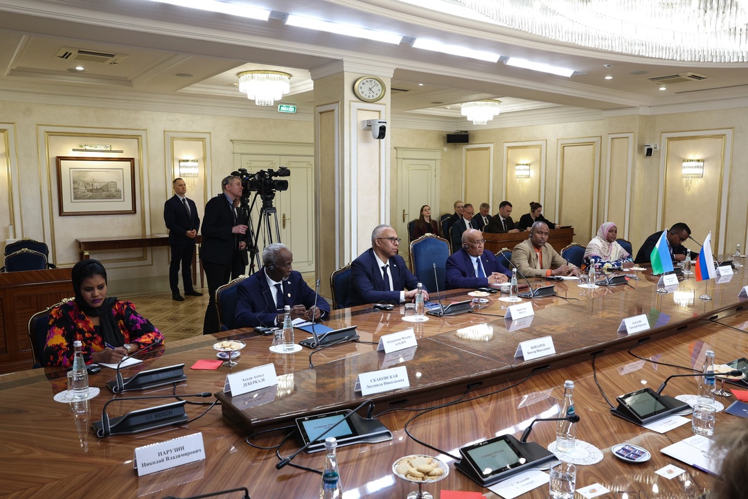 Председатель Совета Федерации Валентина Матвиенко провела встречу с Председателем Национального собрания Республики Джибути Дилейтой Мохамедом Дилейтой