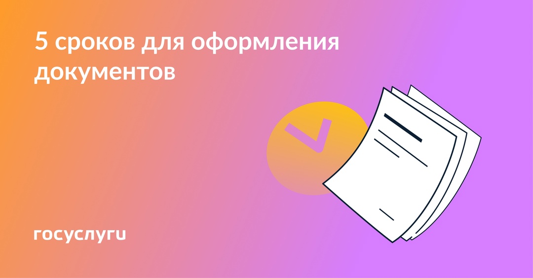 Какие сроки нужно учитывать при оформлении разных документов