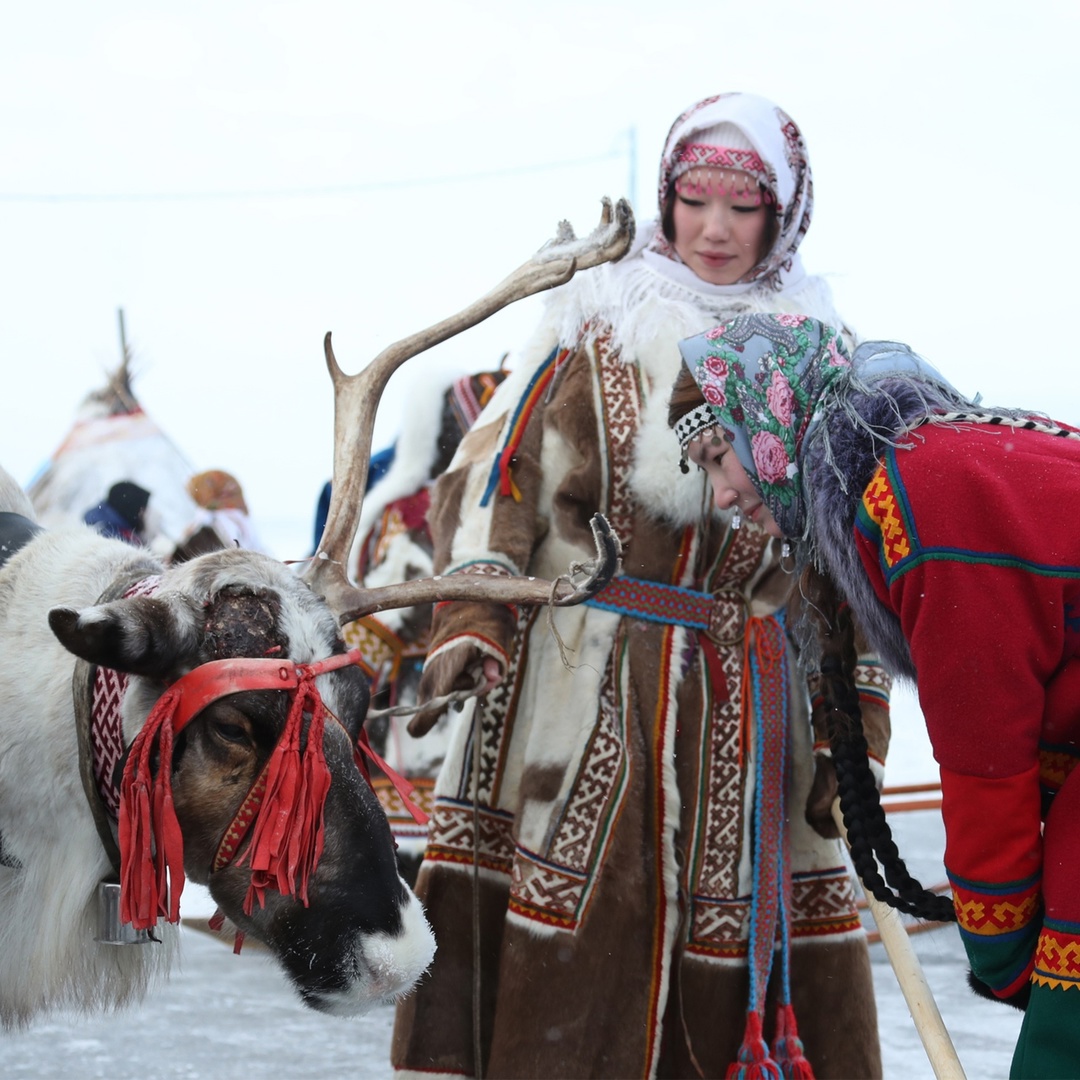 Запрягайте оленей, снаряжайте нарты — начался День оленевода! Праздник, который передает душу и колорит тундры, стартовал в эти выходные в Надыме.