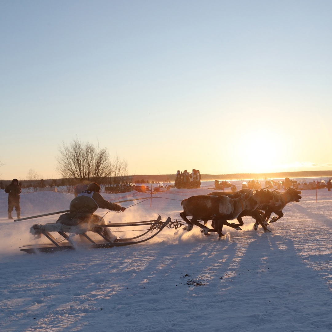 Запрягайте оленей, снаряжайте нарты — начался День оленевода! Праздник, который передает душу и колорит тундры, стартовал в эти выходные в Надыме.