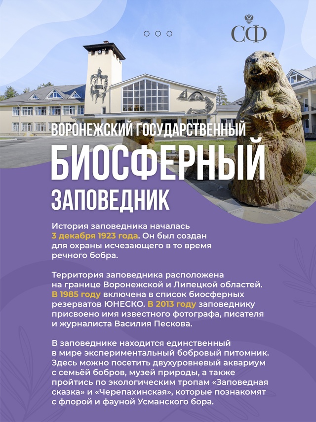 В Совете Федерации проходят Дни Воронежской области