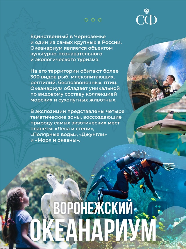 В Совете Федерации проходят Дни Воронежской области