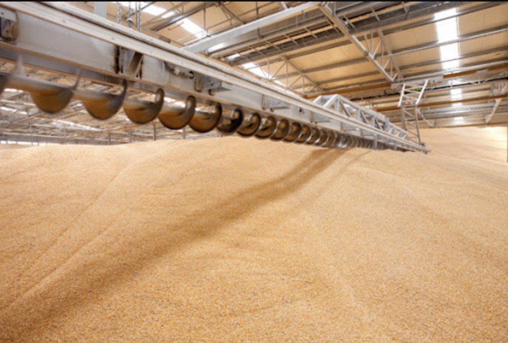 Россия ежегодно теряет около 10%, или 10-12 млн т зерна при его хранении и передвижении, отрасли не хватает современных элеваторов
