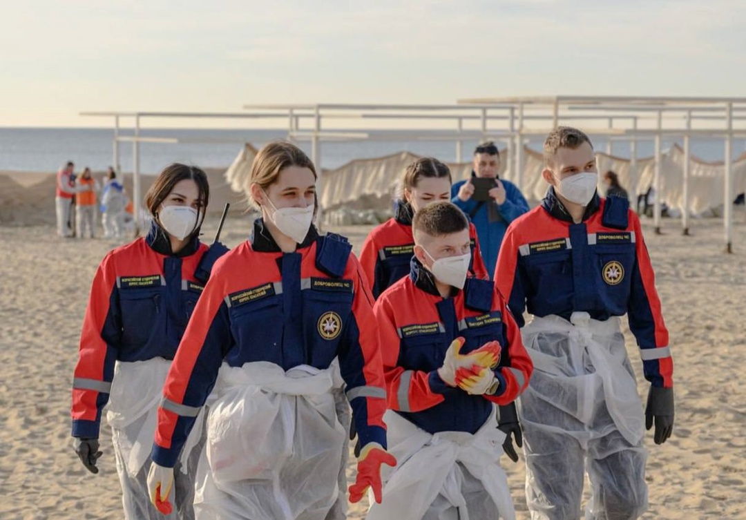 Дмитрий Чернышенко поручил разработать стандарты программ по подготовке кадров для НКО