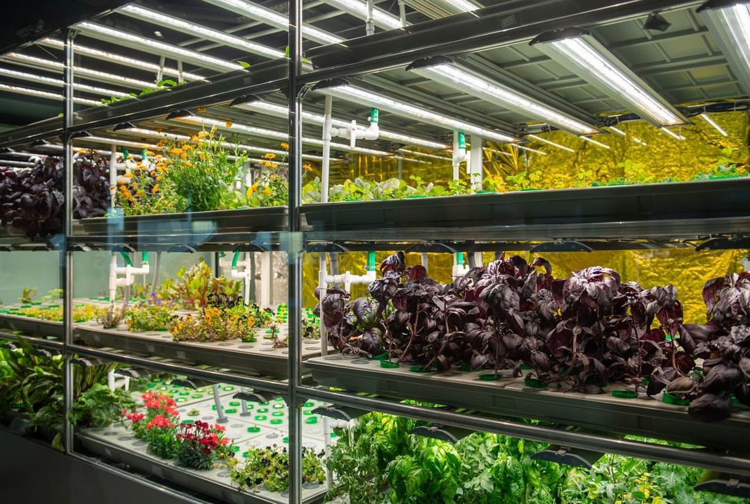 Глава Минобрнауки Валерий Фальков ознакомился с работой 6 институтов Сибирского федерального университета в Красноярске