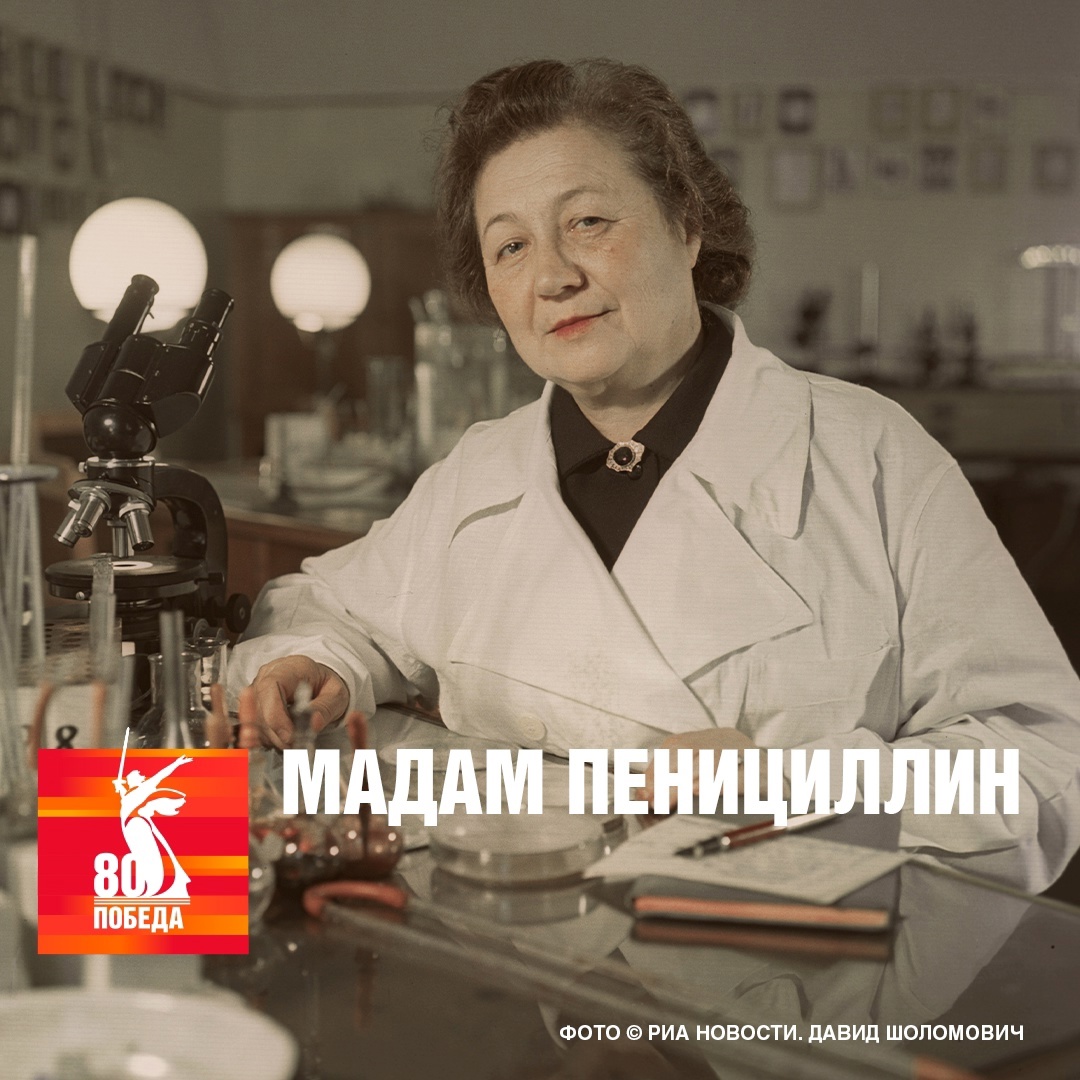 Антибиотик, рождённый на войне В годы войны пенициллин в нашу страну поставляли в небольших количествах из-за рубежа, а технология его получения оставалась…