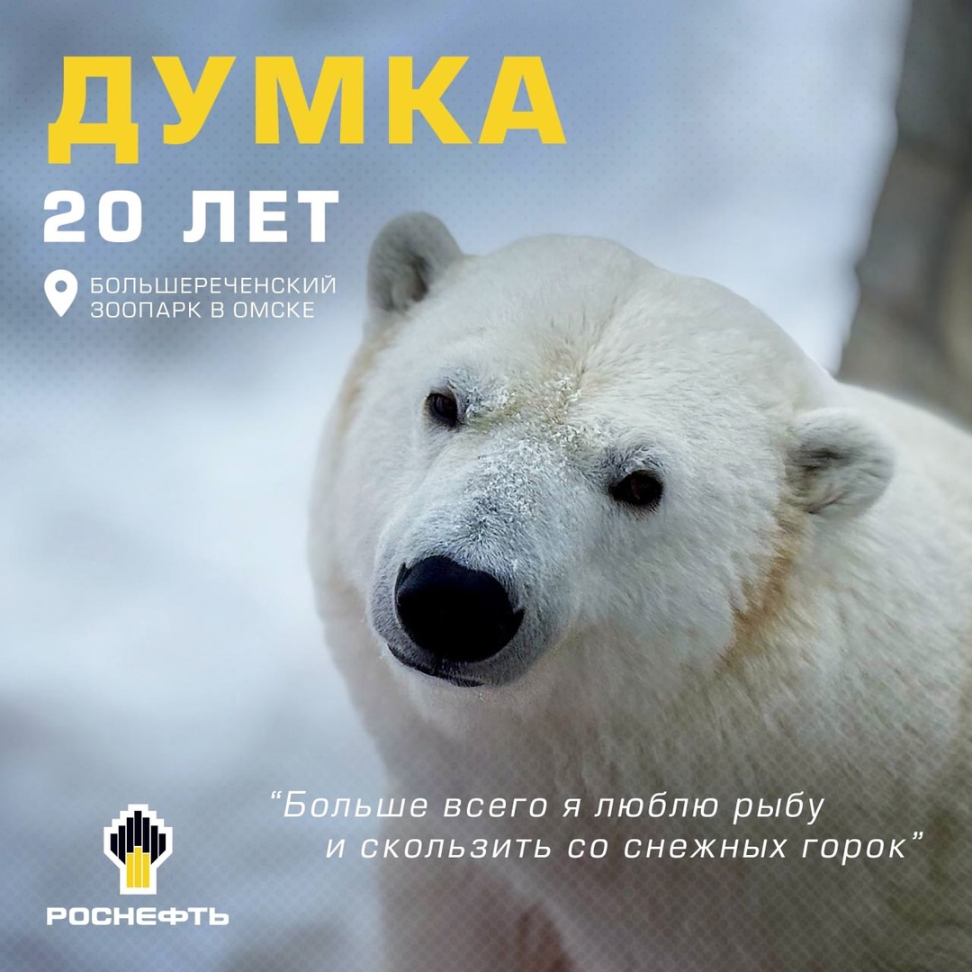 Думка, Комета и Белый — знакомимся со звёздами зоопарков