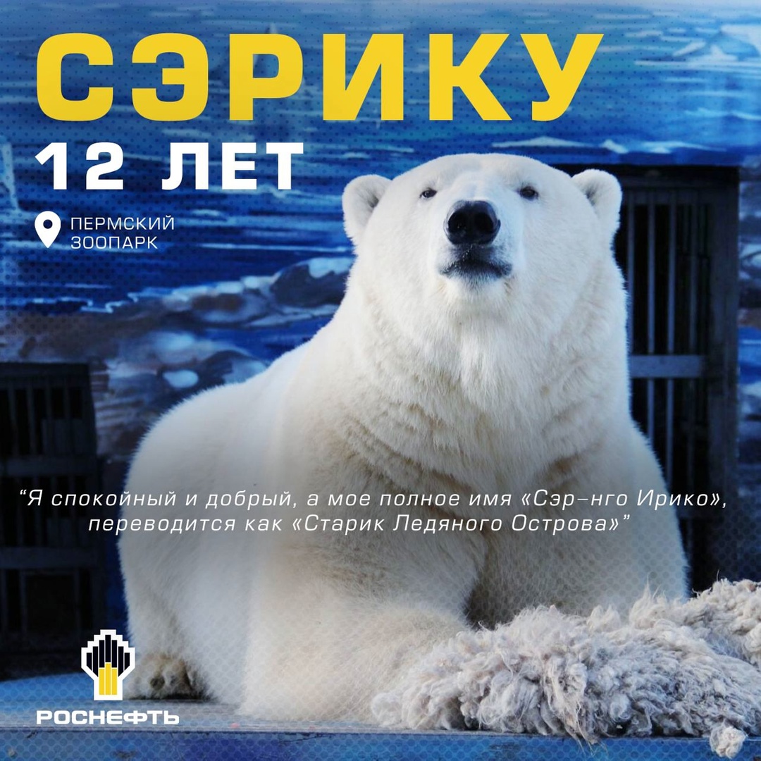 Думка, Комета и Белый — знакомимся со звёздами зоопарков