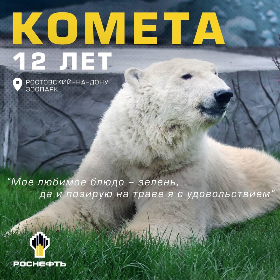 Думка, Комета и Белый — знакомимся со звёздами зоопарков