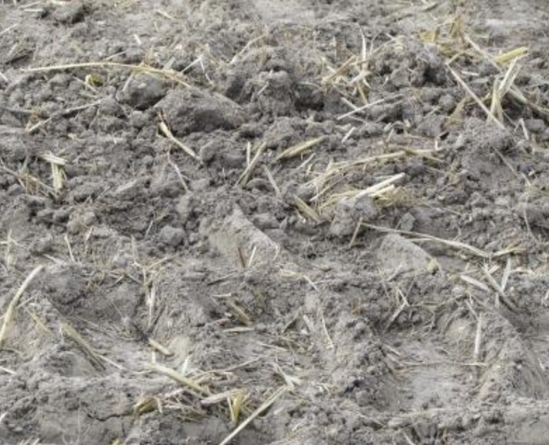 В Ростовской области около 679 тыс. га посевов озимых, или примерно 24% от площади их сева в регионе не взошли или находятся в плохом состоянии, пишет РБК со…