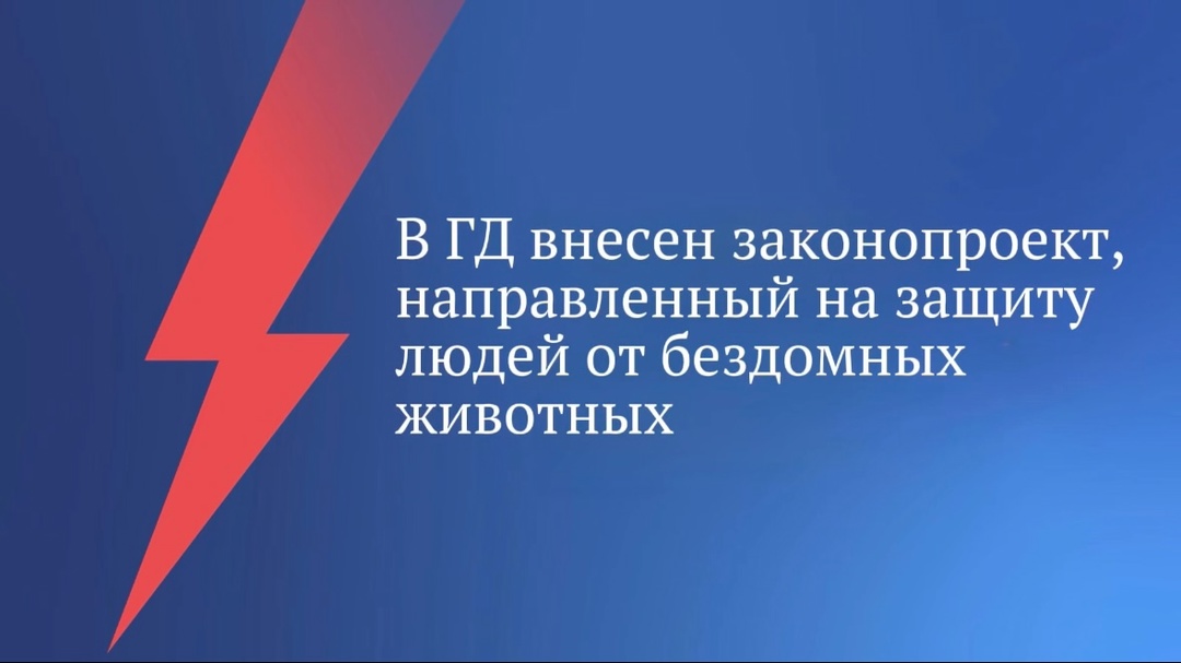 В Государственную Думу внесен законопроект (, направленный на защиту людей от нападения бездомных животных.