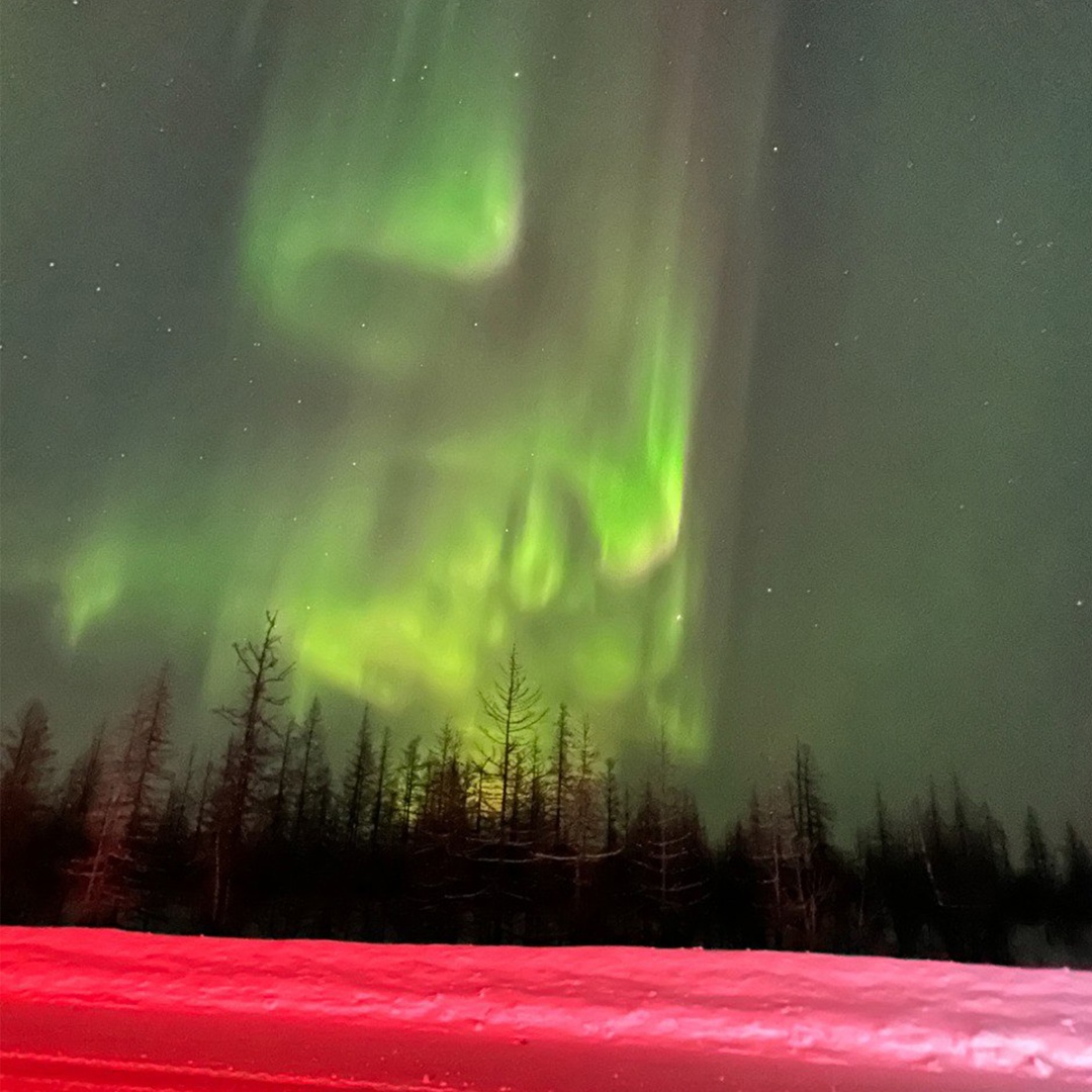 В ее имени — «медведица»! Название сурового края происходит от греческого слова «арктос», и это не случайность