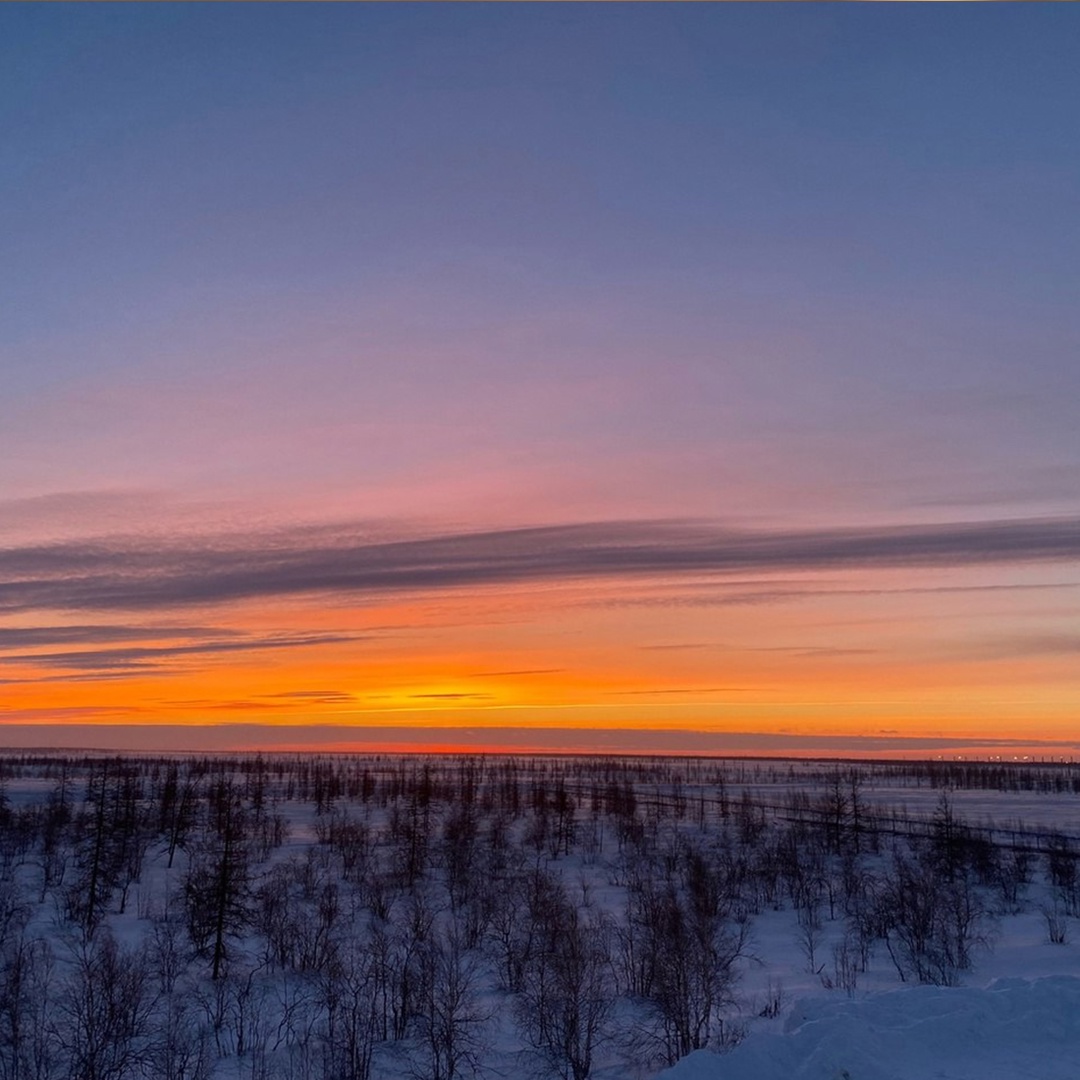 В ее имени — «медведица»! Название сурового края происходит от греческого слова «арктос», и это не случайность