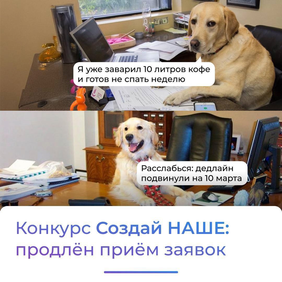 ‍Вы: готовитесь, волнуетесь, дорабатываете презентацию. Вдруг: перенос дедлайна.