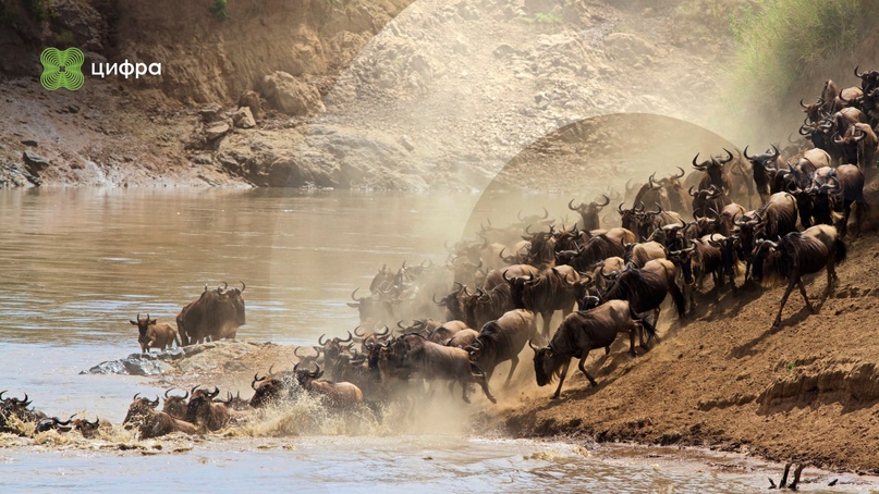 Миграция данных Cassandra с помощью Cassandra Data Migrator