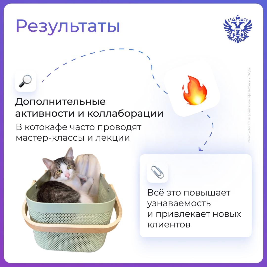 Что такое красота? Это домик для кота. Но не у всех мурлык есть дом. Находят его приюты, волонтёры и МСП, а мы им помогаем