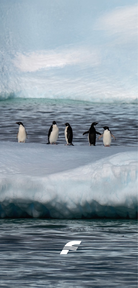 Так хочется моря и бризов? Ни слова больше!