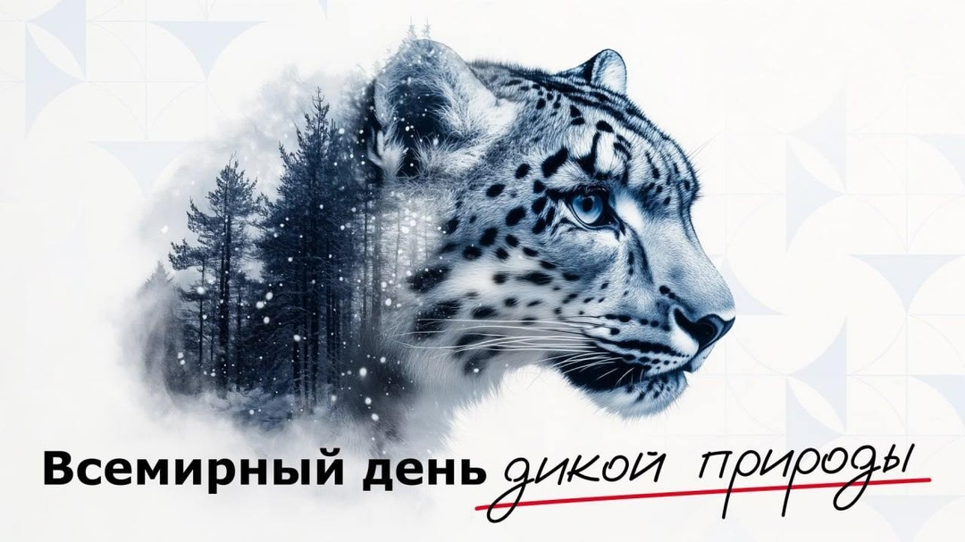 Друзья, на календаре важная дата — Всемирный день дикой природы. Он учреждён, чтобы напомнить людям о важности сохранения флоры и фауны на нашей планете.