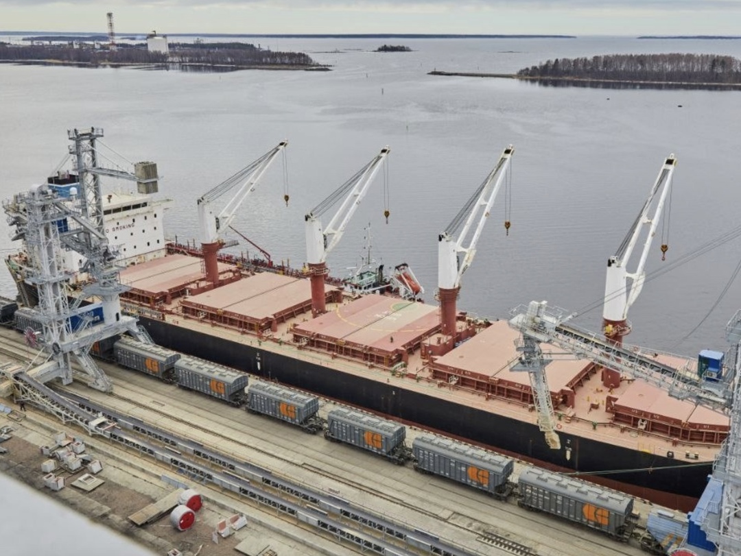 Россия с 15 февраля, когда начала действовать экспортная квота на пшеницу, и до конца месяца отгрузила за рубеж 711 тыс