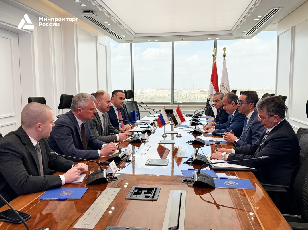 Роман Чекушов совершил рабочую поездку в Египет