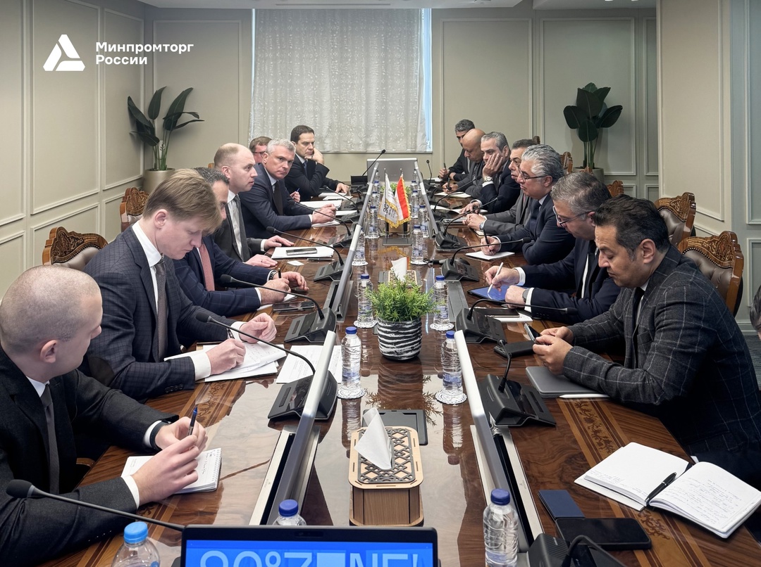 Роман Чекушов совершил рабочую поездку в Египет