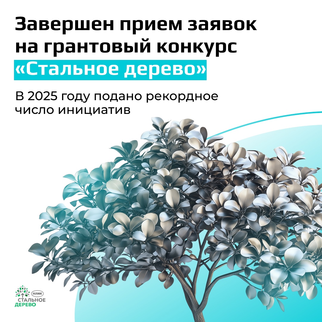 Социальный партнер НЛМК — благотворительный фонд «Милосердие» — завершил сбор заявок на грантовый конкурс «Стальное дерево»