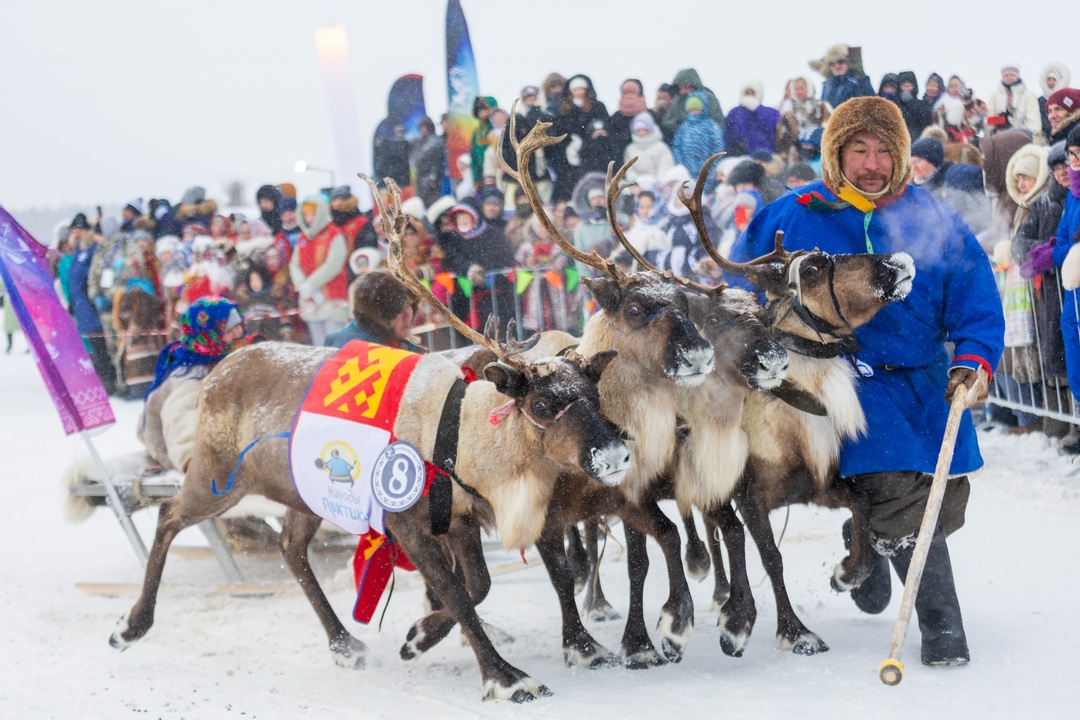 С ненецкого приветствия «Нани торова