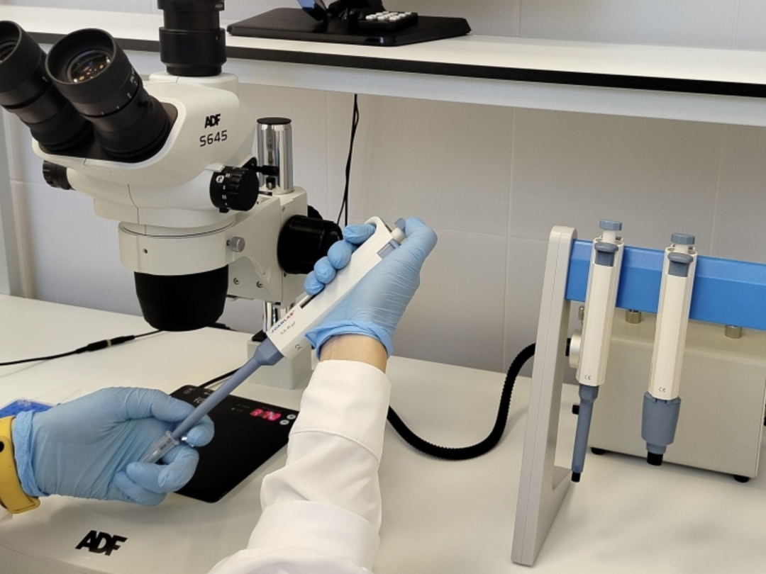 Выстраивание зонтичной системы контроля качества. Почему важно проверять качество продукции на всех этапах производства